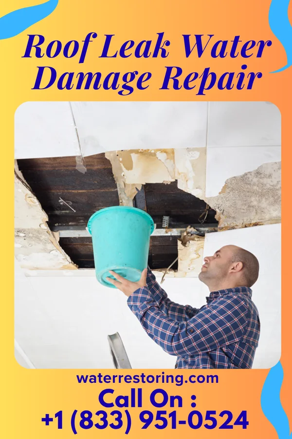 Roof Leak Water Damage Repair in South Toledo Bend, TX