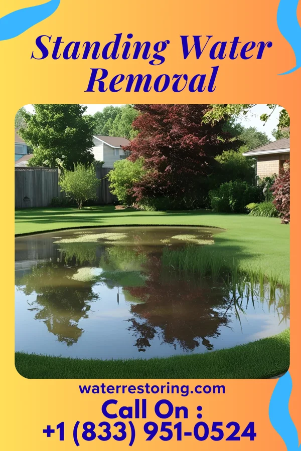 Standing Water Removal in South Toledo Bend, TX